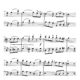 小提琴二重奏曲谱:渴望春天 莫扎特曲 张以一改编曲目 初级