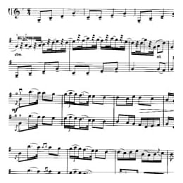 小提琴二重奏曲谱:幽默曲 德伏夏克曲 张以一改编曲目 初级