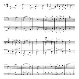 小提琴二重奏曲谱:雪绒花 选自 音乐之声 理查德 罗杰斯曲 刘聪颖改编曲目 初级