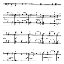 小提琴二重奏曲谱:沃尔塔瓦河 选自 我的祖国 斯美塔那曲 刘聪颖改编曲目 初级