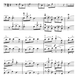 小提琴二重奏曲谱:春之歌 李冕相曲 梁訢改编曲目 初级