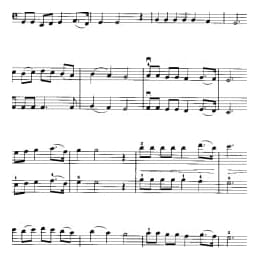 小提琴二重奏曲谱:苏丽珂 格鲁吉亚民歌 阿 亚历山大罗夫编曲 梁訢改编曲目 初级