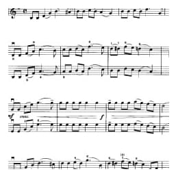 小提琴二重奏曲谱:小鸟 塞格廷斯基曲 梁訢改编曲目 初级