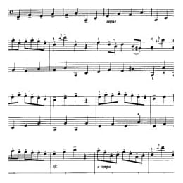 小提琴二重奏曲谱:嘉乐舞曲 戈赛克曲 梁訢改编曲目 初级