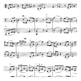 小提琴二重奏曲谱:夏天最后一朵玫瑰 爱尔兰民歌 恩斯特曲 梁訢改编曲目 初级