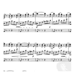 双排键电子琴考级曲目:木马 比才曲 金晓平编配 六级 五线谱