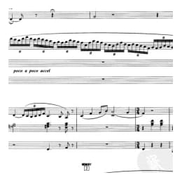 双排键电子琴考级曲目:美丽的夏牧场 姜一民 张红旗曲 张园园编配 六级 五线谱