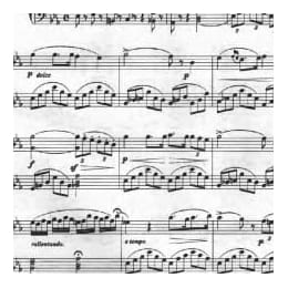 意大利歌曲:不幸的爱情 L'amor funesto 多尼采蒂 G.Donizetti,1797 1848 五线谱