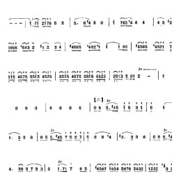 外国乐曲简谱 D大调协奏曲 第一乐章 奥 莫扎特曲 谭渭裕移植