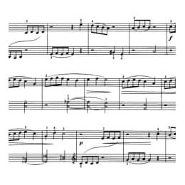 钢琴技巧性练习曲:练习曲尼古拉耶夫曲 五线谱