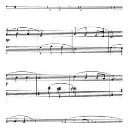 中国乐曲:小白菜 龚耀年改编 五线谱