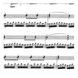 钢琴二级技巧性练习曲 Op.599 No.59 车尔尼曲 五线谱