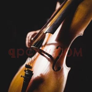 小提琴曲谱/伴奏/教材/教程/百科一站式下载 小提琴完全学习手册