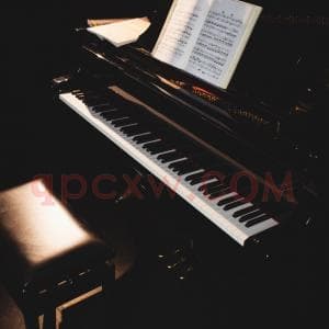 从指尖到心灵：一站式「钢琴」全体系资料库下载