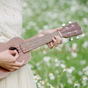 尤克里里爱好者珍藏资源合集 尤克里里曲谱伴奏教材纯音乐百科下载