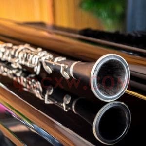 单簧管曲谱伴奏教材纯音乐百科下载 单簧管爱好者珍藏资源合集